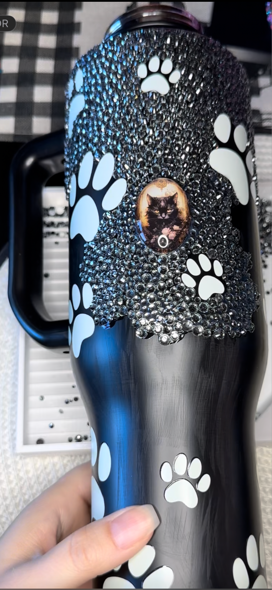 Cici baby paws